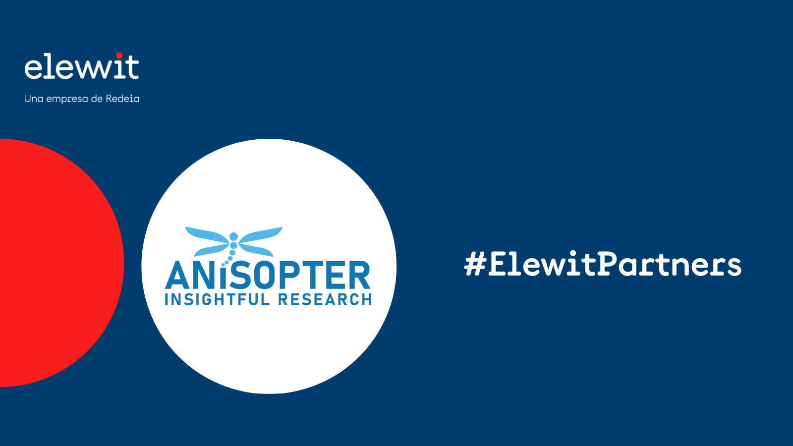 Elewit Partners - Logo ANISOPTER