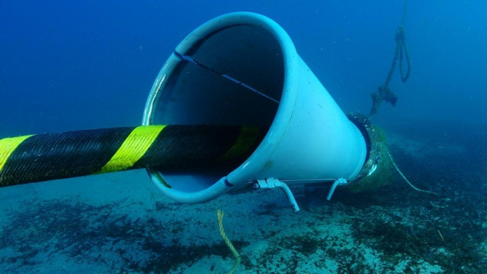 El proyecto desarrollado junto con Red Eléctrica y Akselos, ha permitido la creación de un software para anticipar daños en los cables submarinos con las garantías suficientes para aplicar la tecnología a dos casos de estudio reales