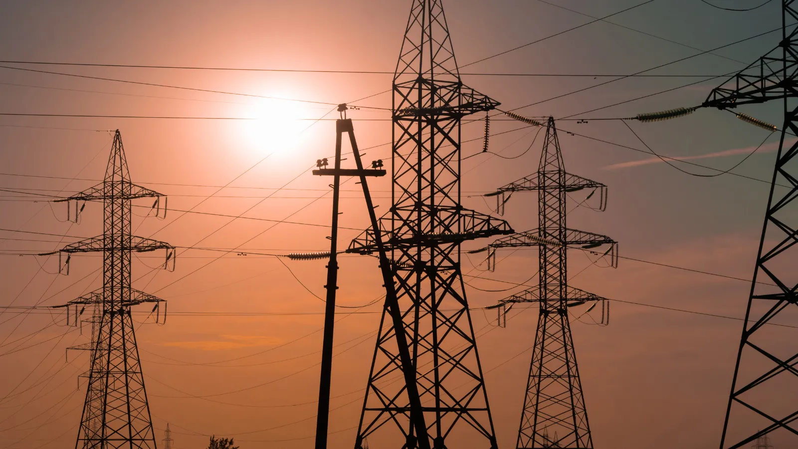 Elewit, mediante su reto Diseño alternativo de apoyos, se ha enfocado en la búsqueda de propuestas más innovadoras para impulsar la evolución, la integración y la sostenibilidad de los apoyos para líneas de alta tensión