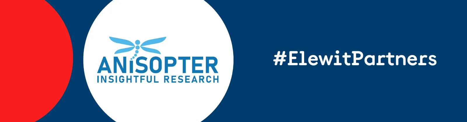 Elewit Partners - Logo ANISOPTER