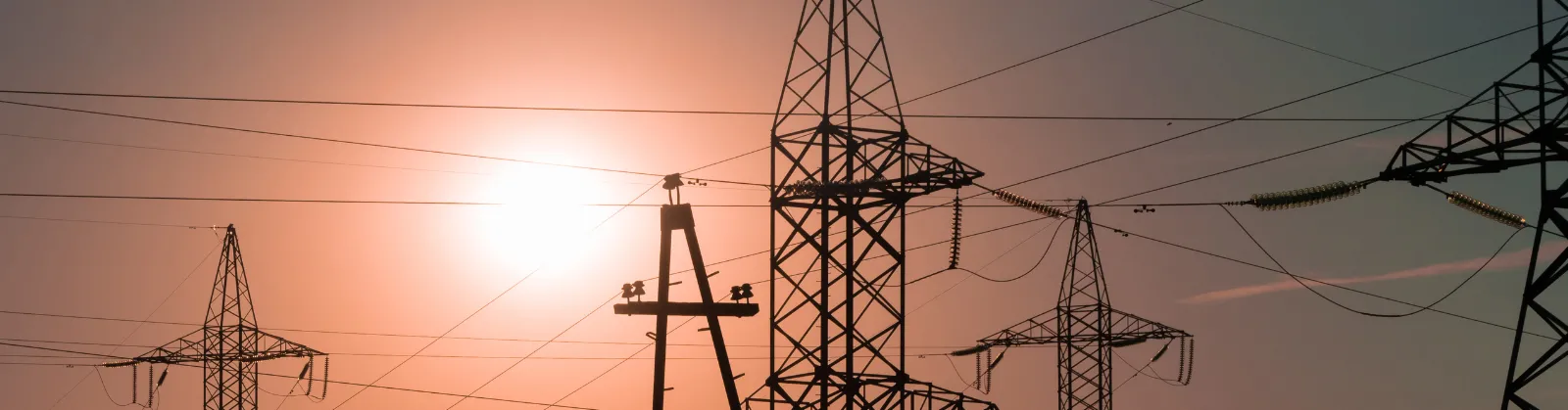 Elewit, mediante su reto Diseño alternativo de apoyos, se ha enfocado en la búsqueda de propuestas más innovadoras para impulsar la evolución, la integración y la sostenibilidad de los apoyos para líneas de alta tensión